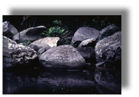 Rocks in Stream